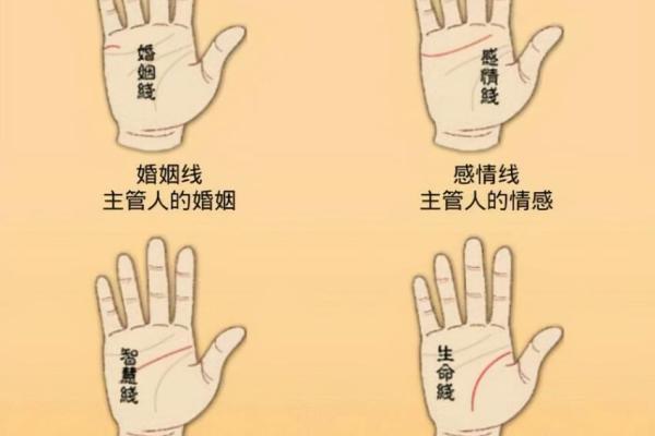 手相算命之十大手相富贵纹