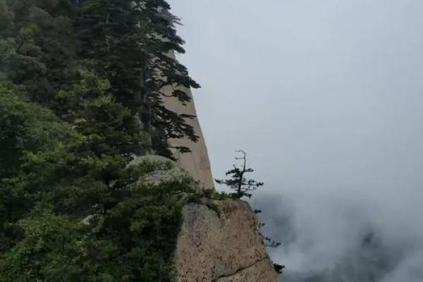 签灵爷爷山神六十五签