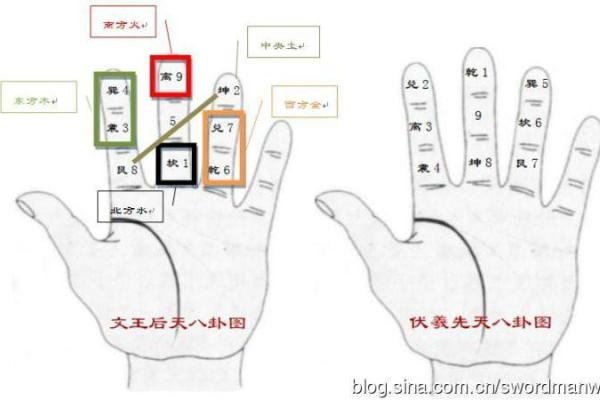 玄女算命电视剧全集播放