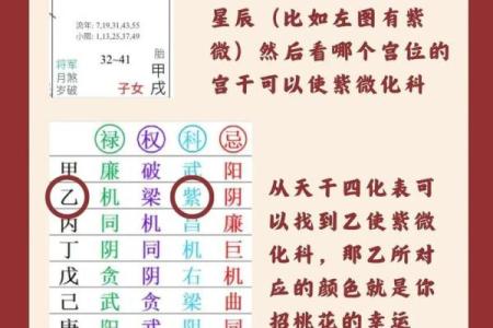 紫薇斗数流年2004