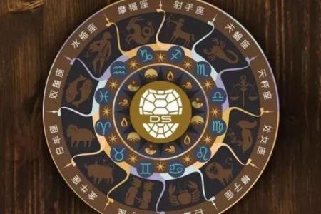 塔罗测试：投资什么，能让你五年后一鸣惊人？