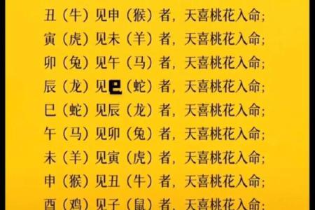 紫微斗数戊子桃花位 戊子日柱女命桃花？