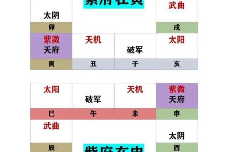 紫薇斗数测试APP