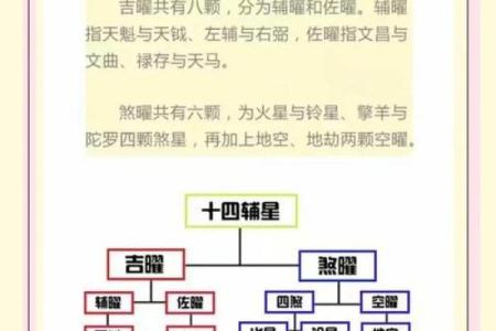 预测包括紫薇斗数