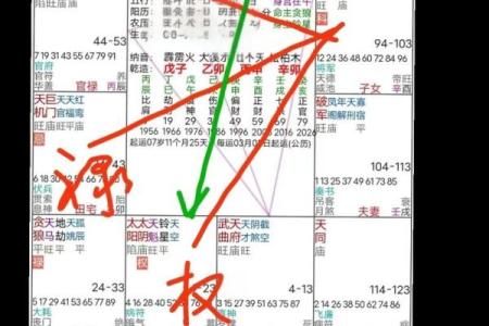 紫薇斗数中什么是子女宫