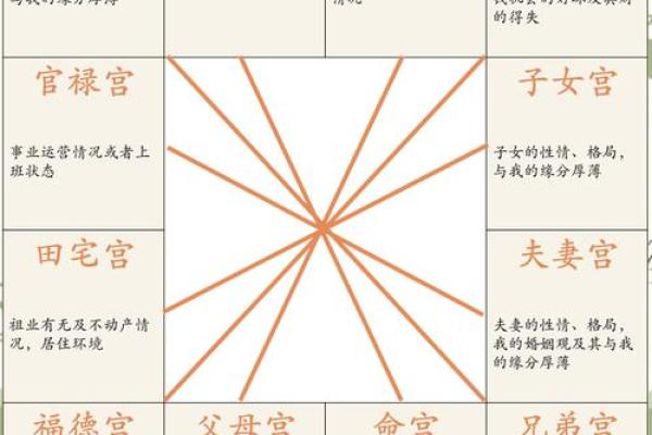 紫薇命盘免费算命 紫薇命盘免费算命