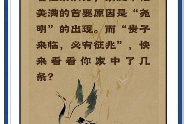 能享子女福的八字特征,什么八字带贵子