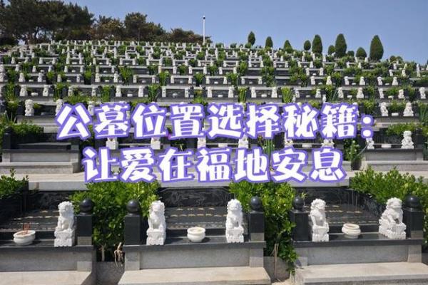 公墓风水怎么看 公墓风水怎么看