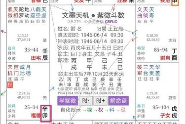 紫薇斗数一等命盘