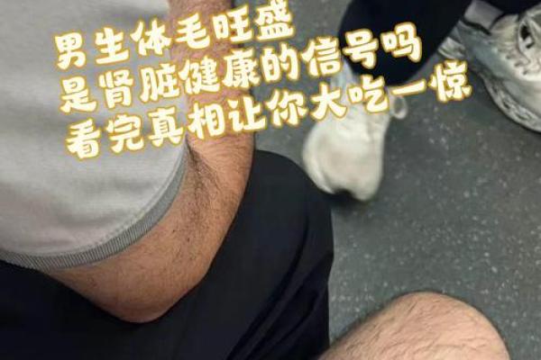 男人长胸毛从算命上看代表啥 男人长胸毛从算命上看代表啥