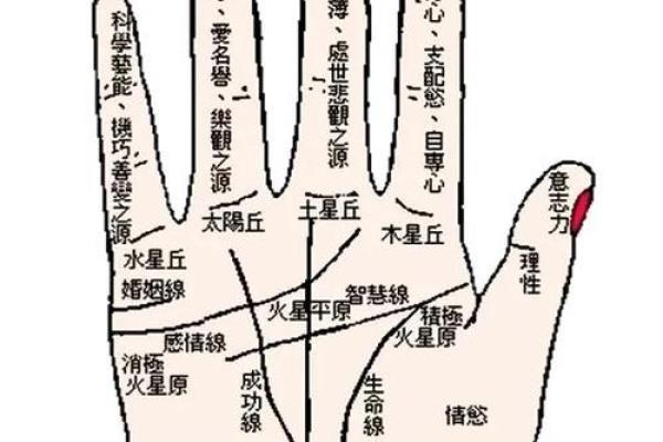 看手相算命：第一课 手相概论