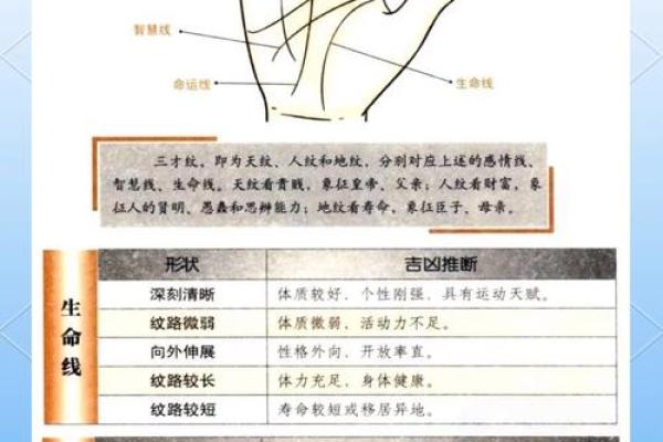 看手相算命：第一课 手相概论