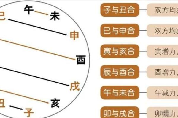 风水看时辰出生时辰看命运准不准 风水看时辰出生时辰看命运准不准