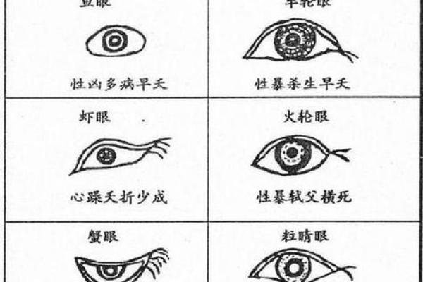 五官看面相算命图解女眼睛 眼睛看相算命图解 五官看面相算命图解女眼睛 眼睛看相算命图解