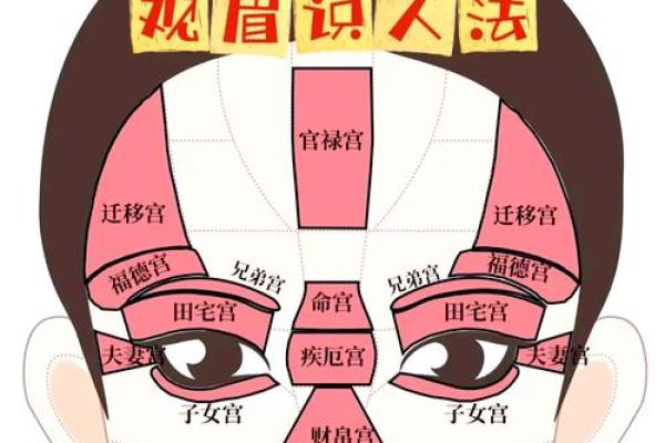 五官看面相算命图解女眼睛 眼睛看相算命图解 五官看面相算命图解女眼睛 眼睛看相算命图解