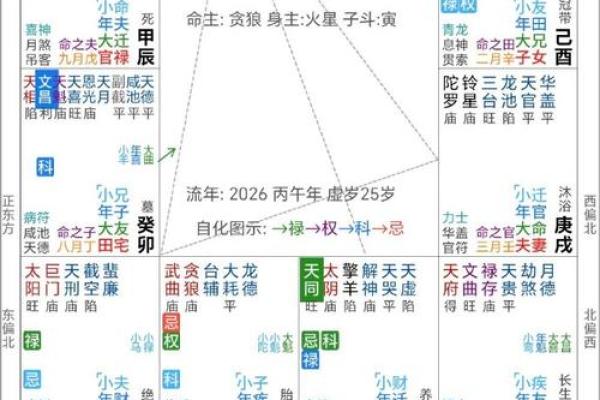 紫薇斗数全书4 紫薇斗数全书4