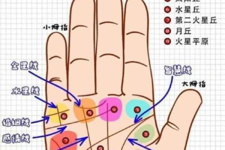 手相算命图解，手相图解大全