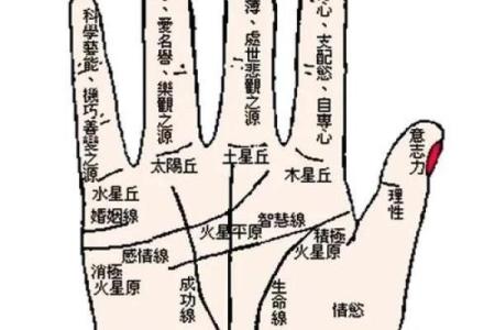 看手相算命：第一课 手相概论