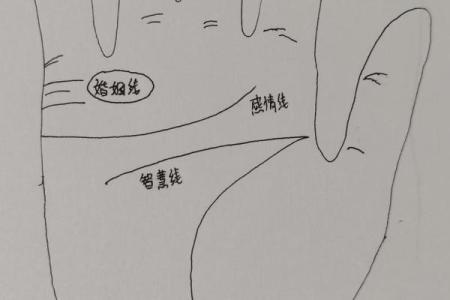 女人手相算命图解：嫁得好的手相
