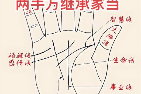 女生算命看左手吗