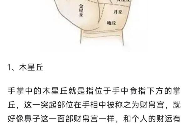 女生算命看左手吗