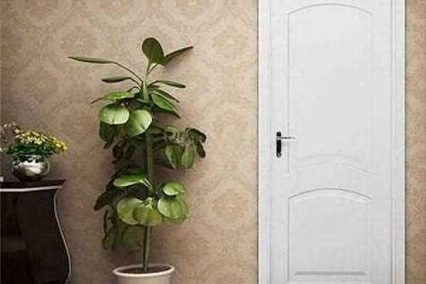 风水最旺的房子颜色有哪些