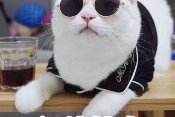 换岗位算命 换岗位算命