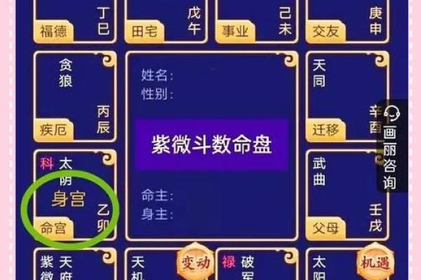 紫薇斗数身宫未 紫薇斗数身宫未