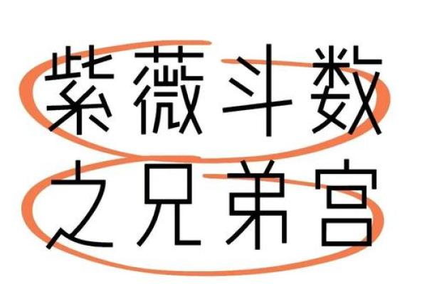 紫薇斗数紫薇在兄弟 紫薇斗数紫薇在兄弟