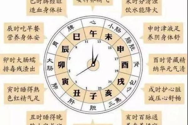 八字丁巳日 八字丁巳日