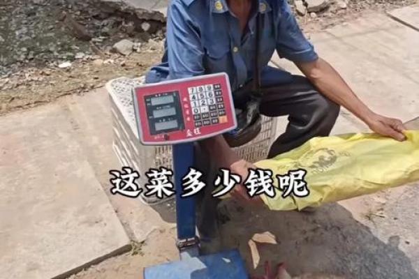 山东男子听大师算命迷信儿子是“使者转世” 被骗走53万 山东男子听大师算命迷信儿子是“使者转世” 被骗走53万