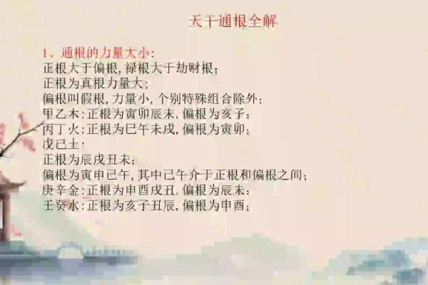 八字强根 八字强根