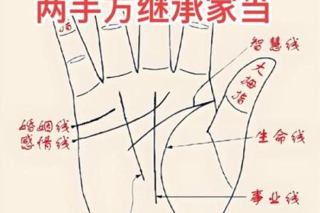 女生算命看左手吗