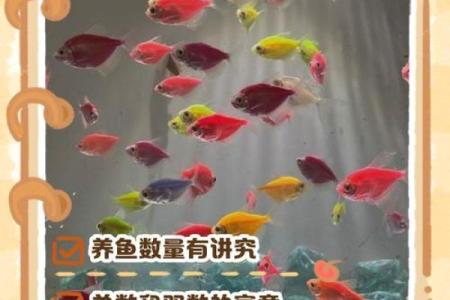 仓房养鱼风水好吗