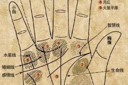 指纹算命,十个斗手指纹算命图解