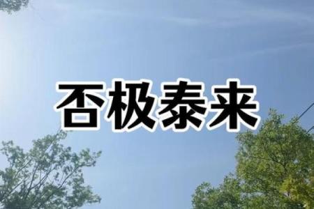 否极泰来紫薇斗数