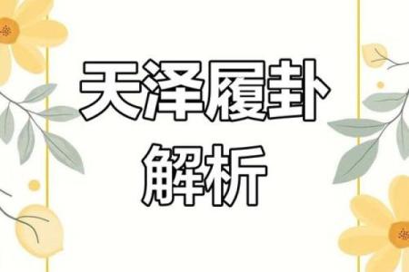 天水讼变卦天泽履求姻缘 天水讼卦变天泽履卦排盘？