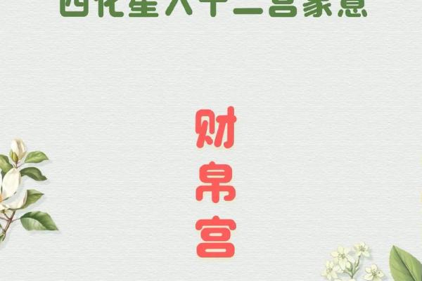 双胞胎紫薇斗数 双胞胎紫薇斗数