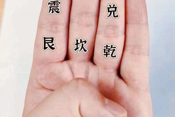 一掌经算命实例 一掌经算命实例