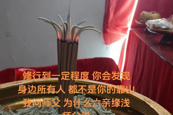 仙人灵签用不了了