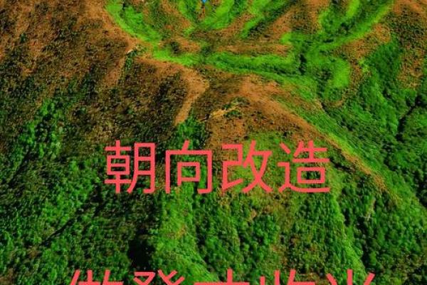 不能朝西？这些风水问题记得改