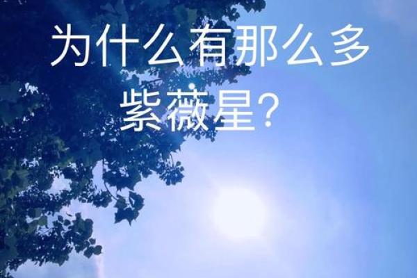 紫薇星几月出生的 紫薇星几月出生的