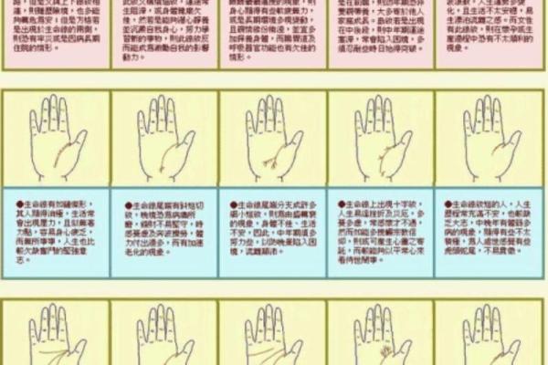 看手相算命图解 看手相算命图解