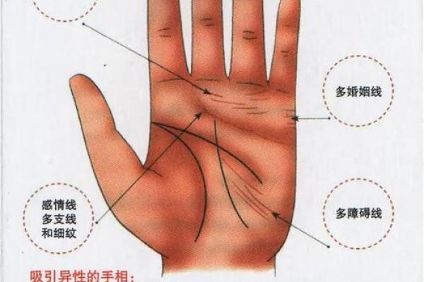 看手相算命图解 看手相算命图解