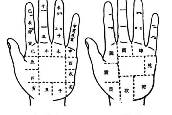 手相“影响线”算命图解 手相“影响线”算命图解