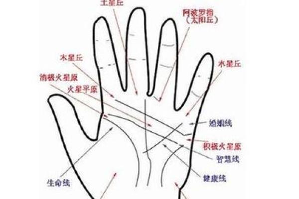 手相“影响线”算命图解 手相“影响线”算命图解