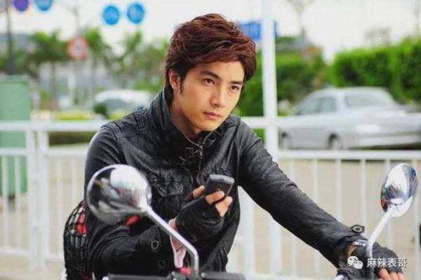 贺军翔紫薇斗数