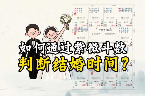 紫薇斗数的时辰点 紫薇斗数的时辰点