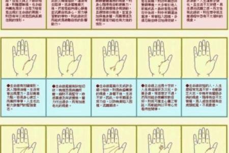 看手相算命图解