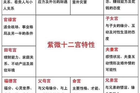 紫微斗数身宫算命 紫微斗数身宫是什么意思？